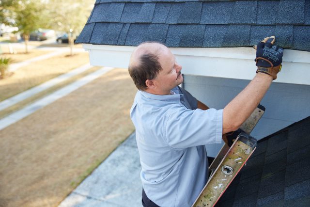 Pest Service Rodents
