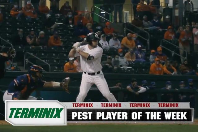 Pest Player of the week