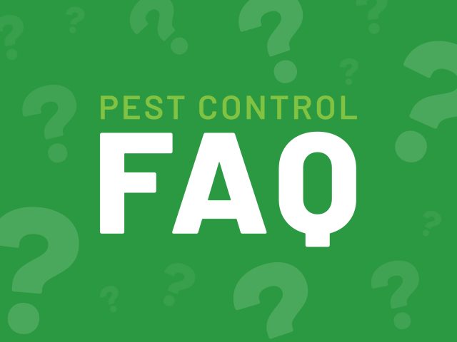 Pest Cpntrol FAQ