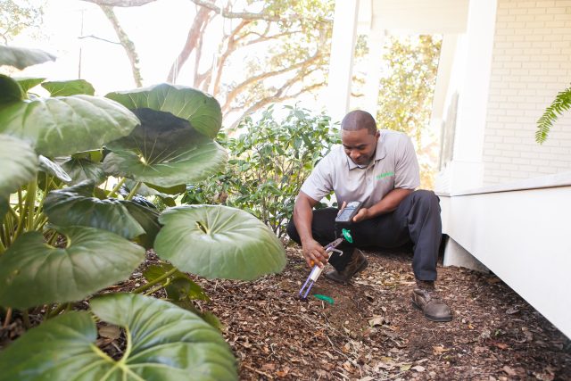 Terminix Team working on site