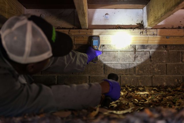 Can You Believe This Termite Damage?